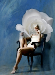 20100831193842-rose