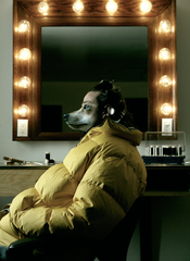 Dog in Hollywood,Rebecca Cabage