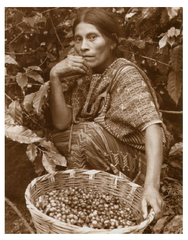 ,Daniel Lorenzetti