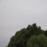 Bunn_silence_small_1_