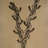 Dscn9632