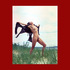 20100901114747-spirit11