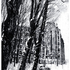 20100901174722-winter_butterflies