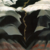 20100902040750-black_place_iii_1942