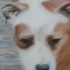 20100902095927-up_close__personalsm