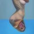 20100902105508-body_schema1