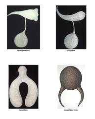Natural History,Mary Neubauer