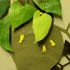 J_wasp_nest
