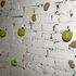 20100904082948-thomas-c-chung-9