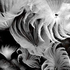 20100904104508-tickle