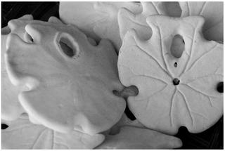 Sand Dollars,Julie Gidion-Smith