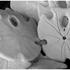 20100905171625-julie_3