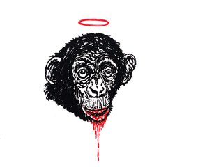 Chimp,Yamel Molerio