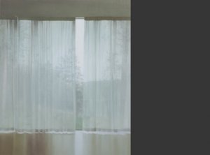 20100906173834-winstanley_veil_exh