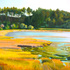 20100906182759-kingston_marin_county_marsh