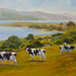 20100906182953-williams_basking_in_the_sun