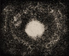 20100907061357-rjloveinouterspace
