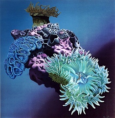 Privileged Forms ,Gary Brewer