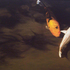 20100907131457-npl-koi-nocturne-2-p