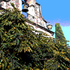 20100907183005-bell_tower_in_the_trees_copy