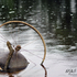 20100910032635-missing_spokes_colour_copywrote
