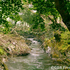 20100910034539-calm_stream_copywrote