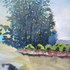 20100909000040-mmardsen_ceriniranchtrees