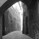 20100909074130-lane_florence