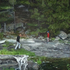 20100909081248-bay_of_lost_things_large_web