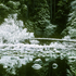 20100909130148-yosemite_winter2