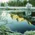 20100909130329-yosemite_winter4