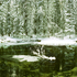 20100909130515-yosemite_winter6