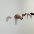 20100909141049-tongues_all_sharp