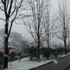 20100909221319-inlikealamb2