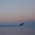 20100909231108-minnesotasummer2