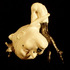 20100910021245-fr_bentover