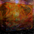 20100910130117-colorfest3a