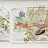 20100911113005-works_by_the__paula_sengupta__for_an_exhibition_in_2010