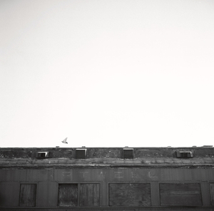 20100912084208-04