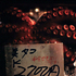 20100912084713-05