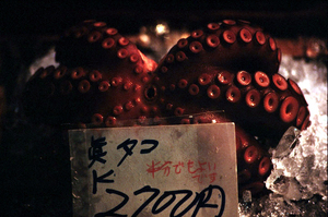 20100912084713-05