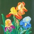 20100912162250-the-wonder-of-nature-imag0190-gertrud-matysik-artmatysik