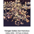20100912181437-trianglegallery_front_final_fall2010