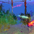 20100912184246-colorfull-koi-lisa300dpi