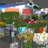 20100912184417-flower-market-juana-lisa300dpi