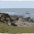20100912213125-la_paloma
