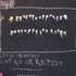 20100913015419-teeth2