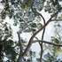 20100913054637-db_image