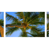 20100913063121-a_lovely_coco_palms_evening_it_is__triptich__horizontal_