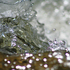 20100913063323-dancing_waters__1_